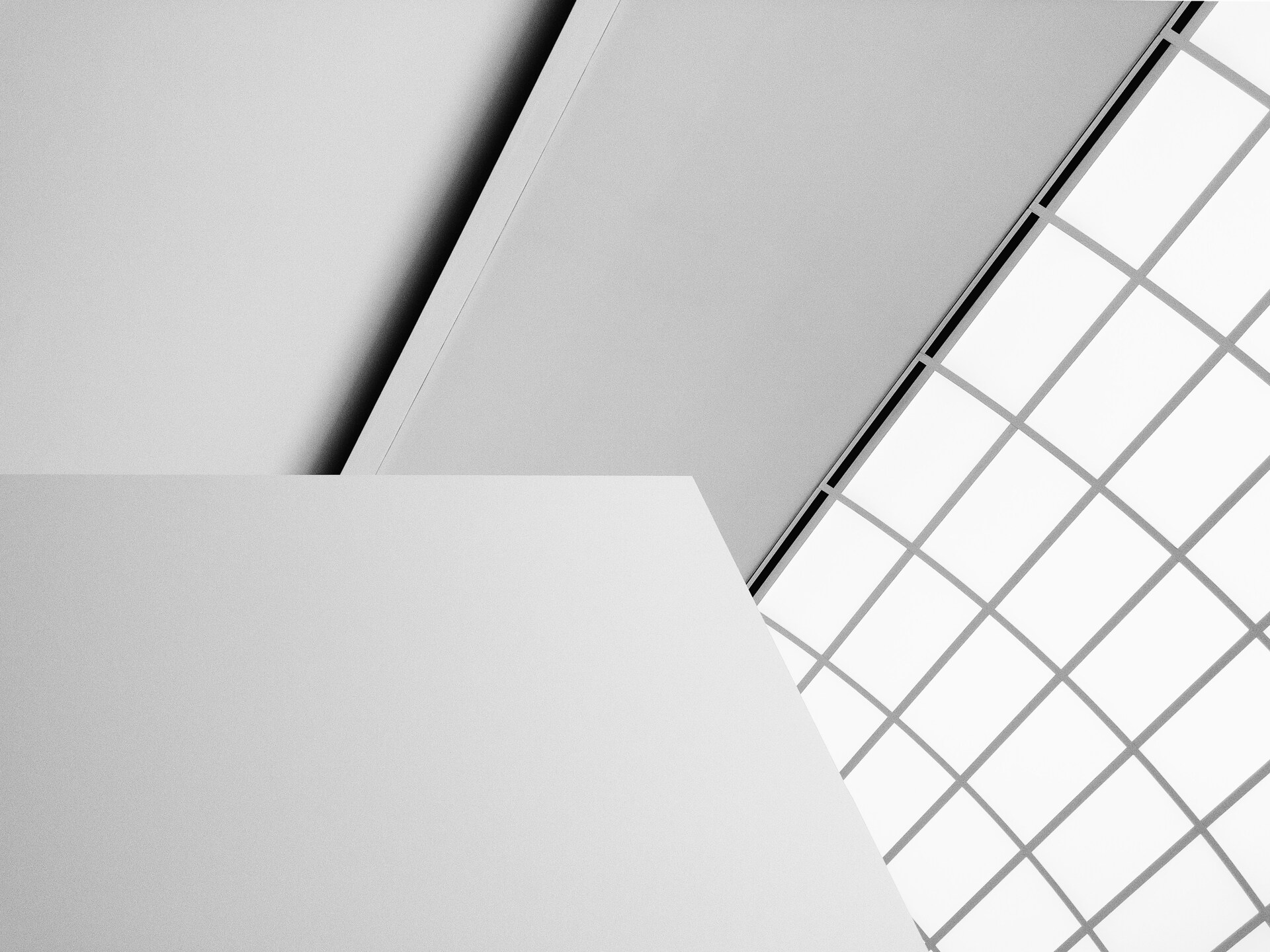 Red de colaboradores MCM Arquitectura